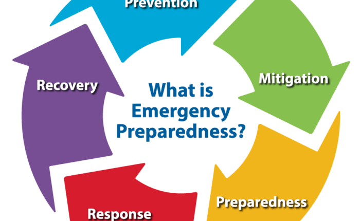 phem-public-health-emergency-management