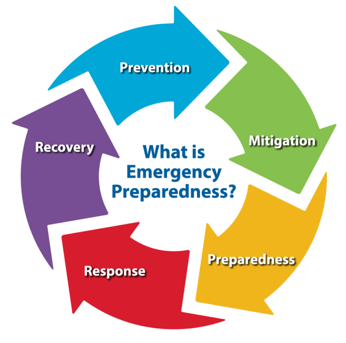 What Is The Role Of Public Health In Emergency Preparedness